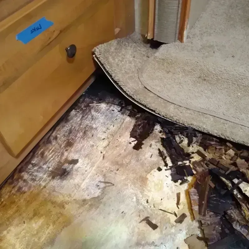 Wood Floor Water Damage in Windsor, WI